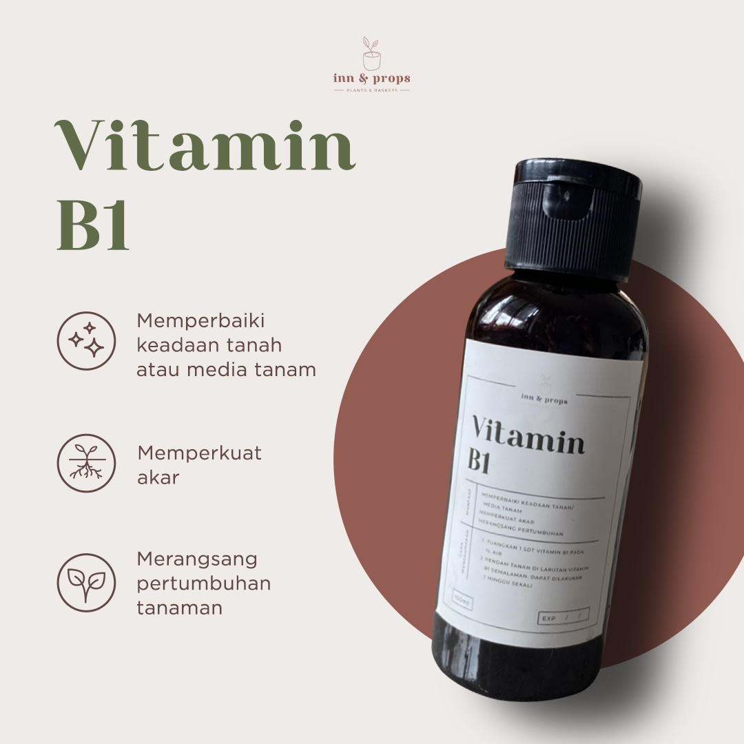 Vitamin-B1